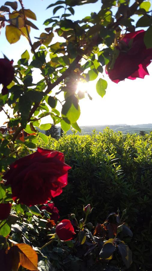 Sunset Hill - Tuscany - Villa & Private Pool Castelfiorentino Bagian luar foto