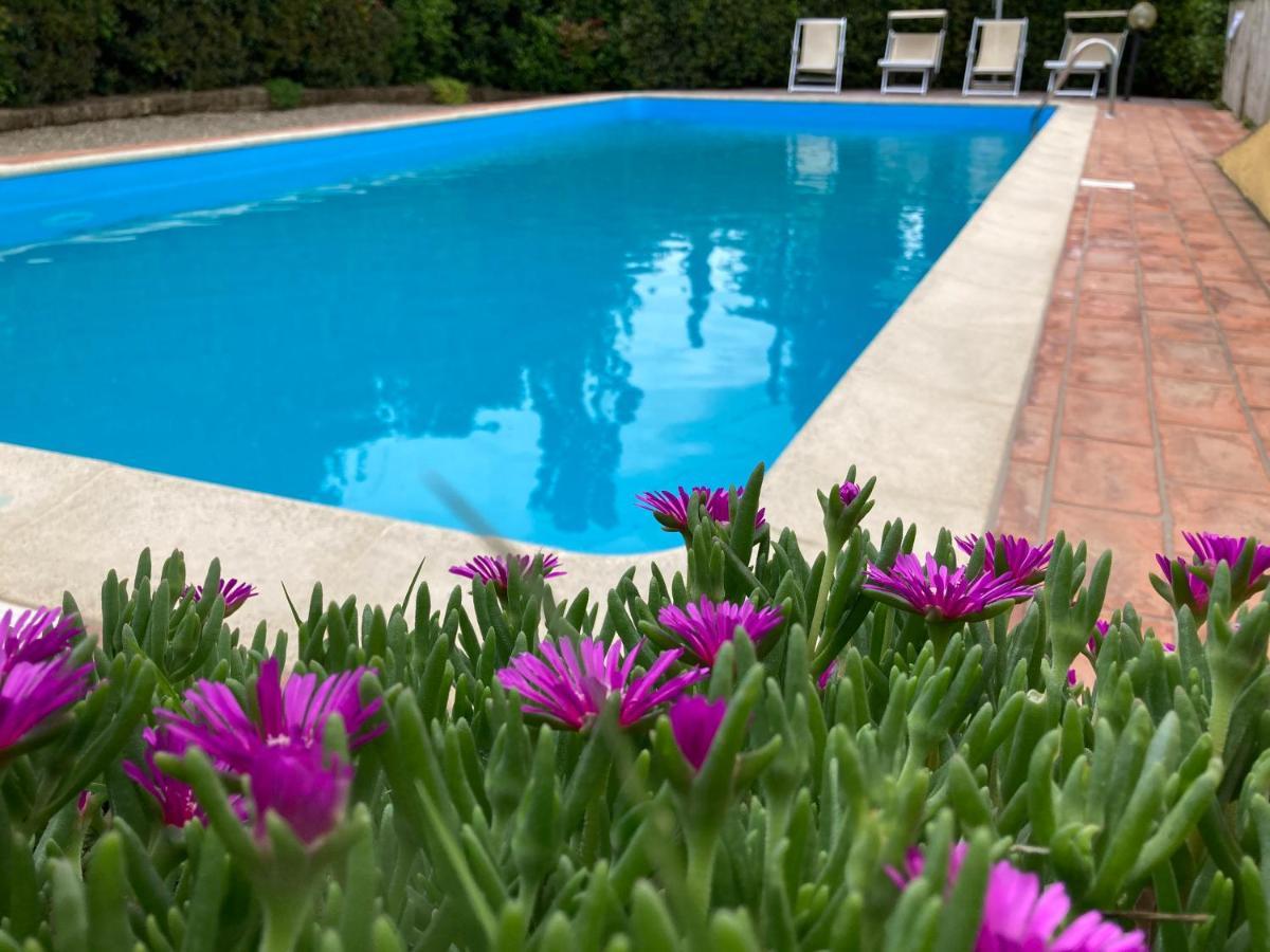 Sunset Hill - Tuscany - Villa & Private Pool Castelfiorentino Bagian luar foto