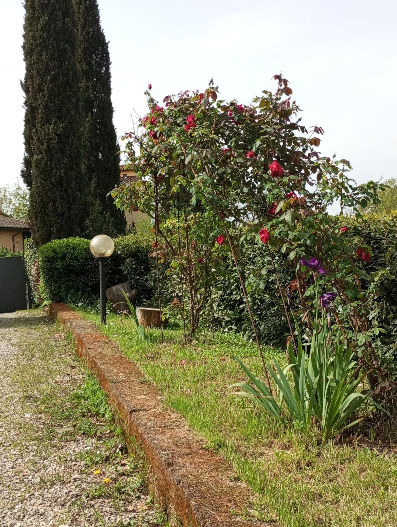 Sunset Hill - Tuscany - Villa & Private Pool Castelfiorentino Bagian luar foto